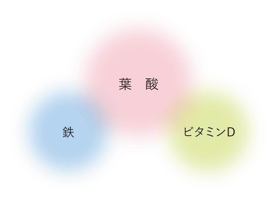 葉酸・鉄・ビタミンD