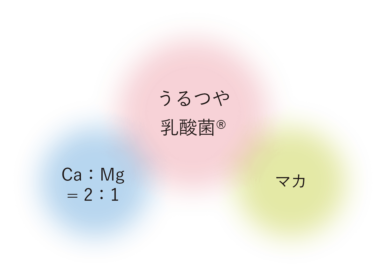 うるつや乳酸菌®・カルシウム／マグネシウム・マカ